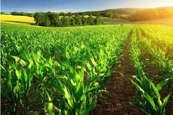 保禄致力于农化事业的发展，心系环保与公益